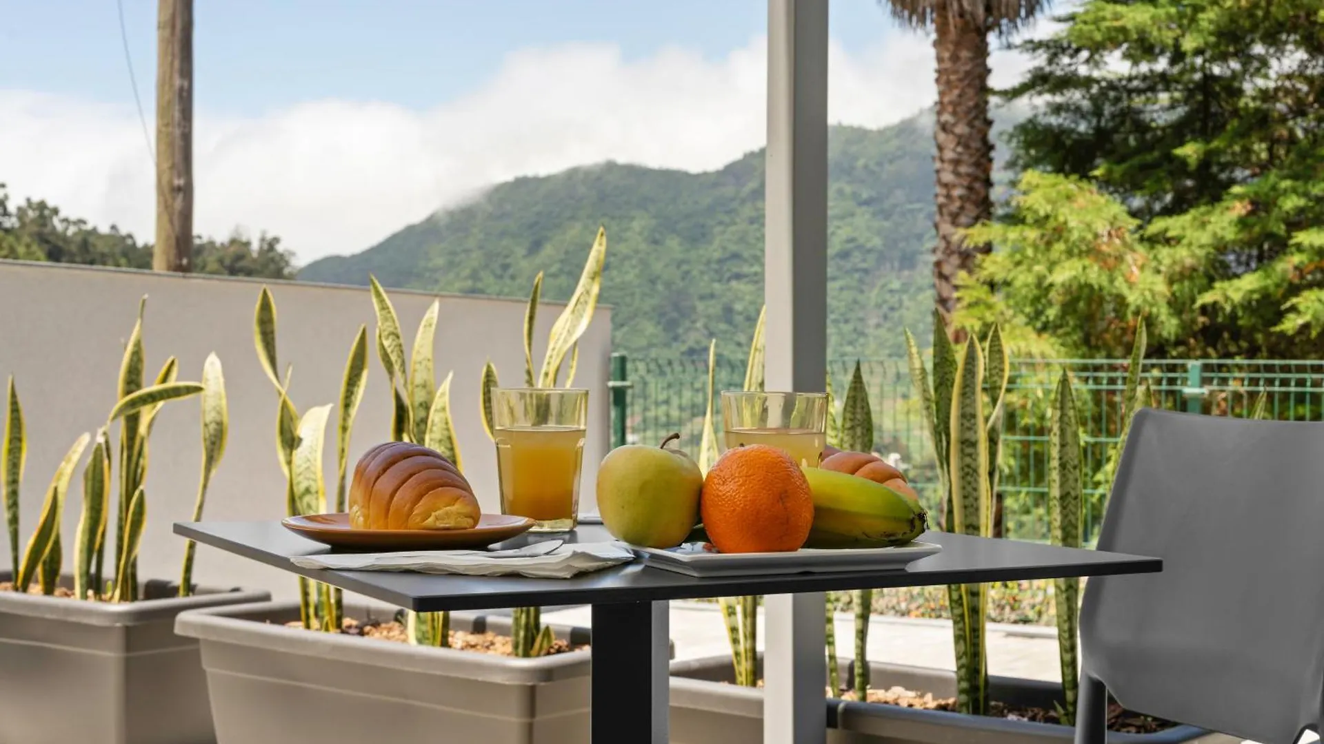 North View Guesthouse Senhora do Rosário 0*,  포르투갈