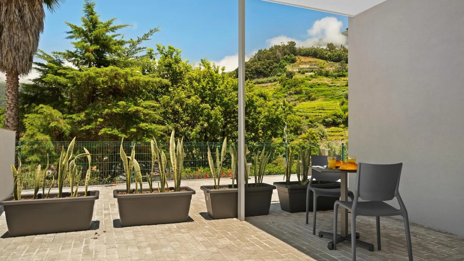 게스트하우스 North View Guesthouse Senhora do Rosário